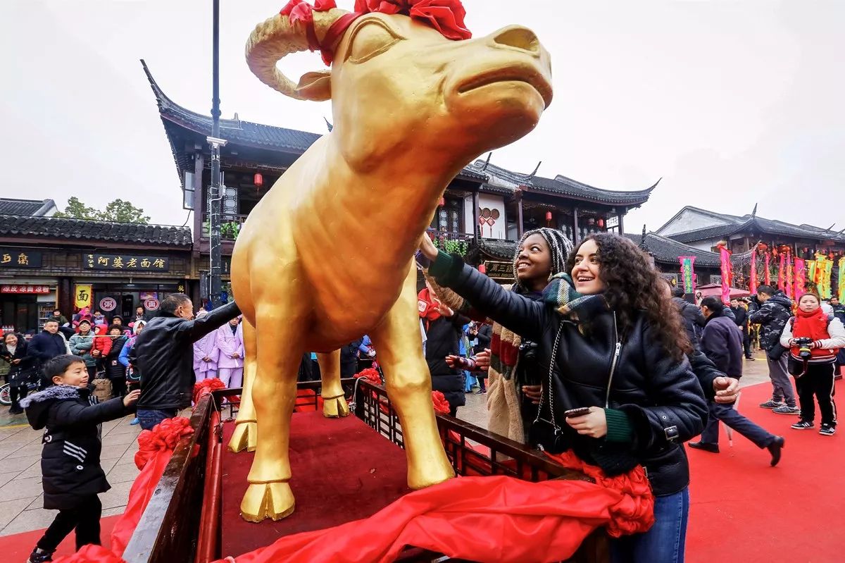 Foreigners Speak Highly of Spring Festival Activities in Zhouzhuang